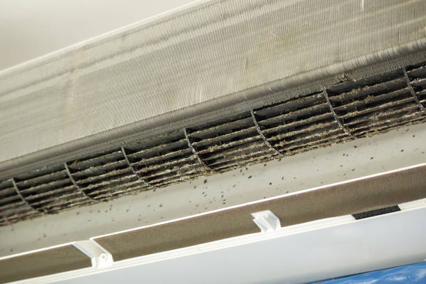 Best Affordable Duct Cleaning Services  in Livermore, CA